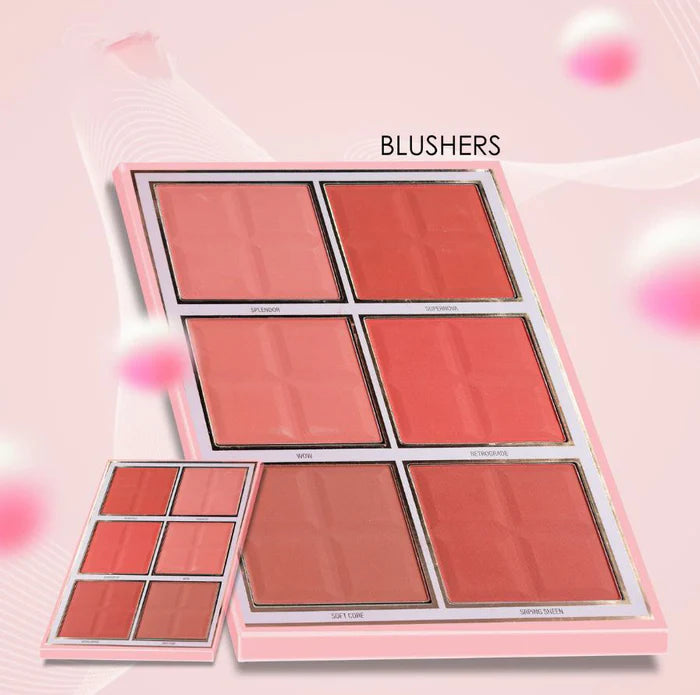 Blush palette with multiple shades on a pink background