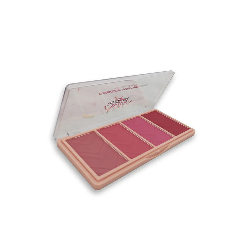 Aqua Color Line Bloom Blusher Glow & Contouring Kit