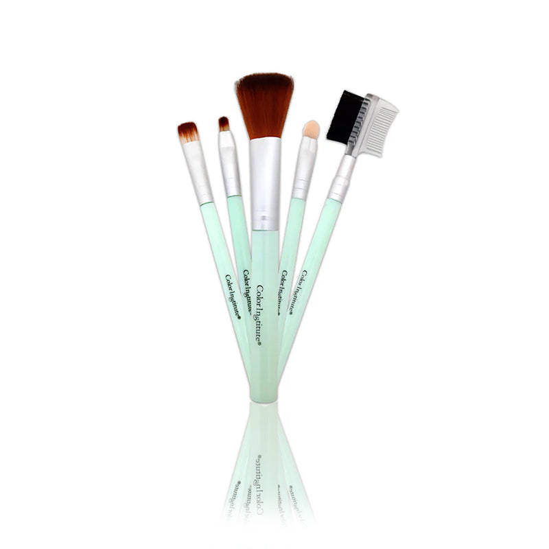 Color Institute 5 in 1 Brush Set