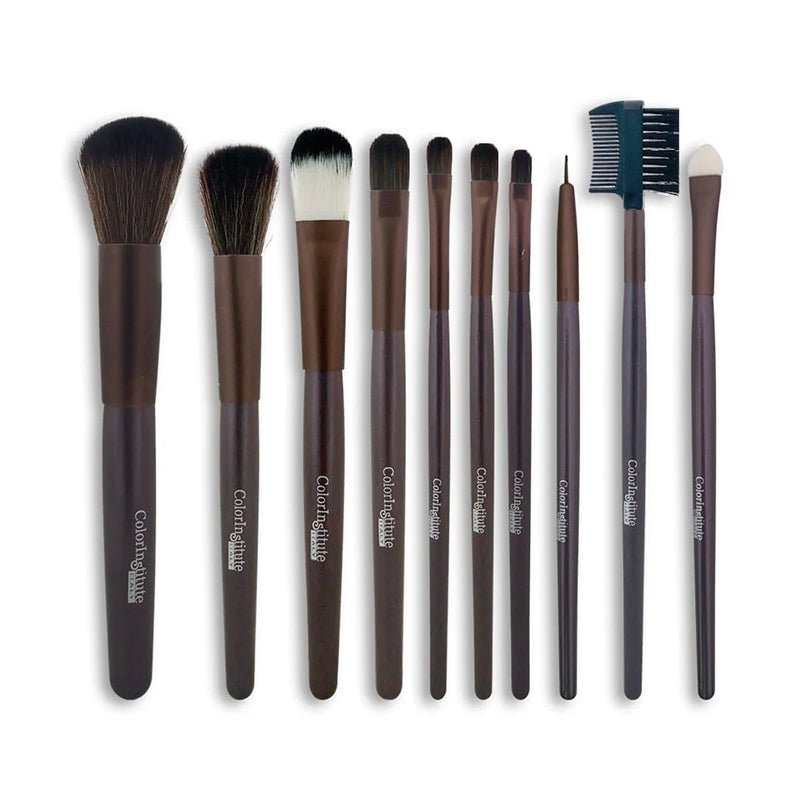 Set of makeup brushes with brown and black handles on a white background