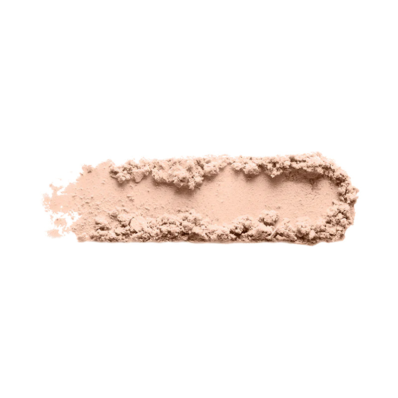 Color Institute Matte Finish Loose Powder
